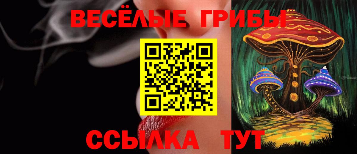 Галлюциногенные грибы Psilocybe Заинск